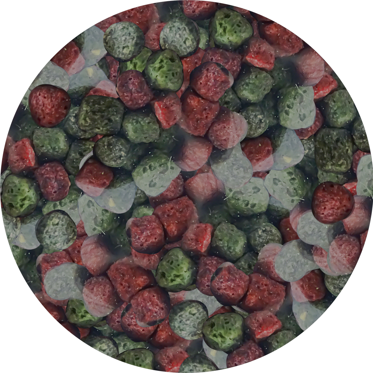 NEEDApet® Nutrition Koi Pellets 1kg - PetProvo - COPYRIGHT RESERVED - Images by BEFOUNDSTUDIO.co.za
