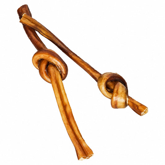 Close detail of a Chompie beef knot dog chew on white, showing its knotted shape and natural dried surface.