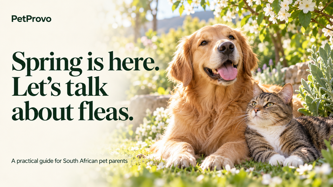 Spring is here. Let Petprovo help.
