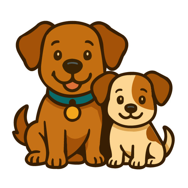 Shop Petprovo today and discover a world of deliciousness and fun for your furry friend!
