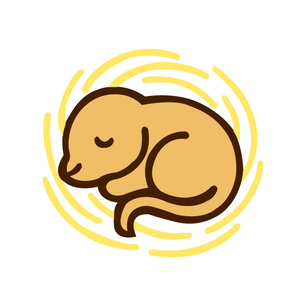 Animal Nesting