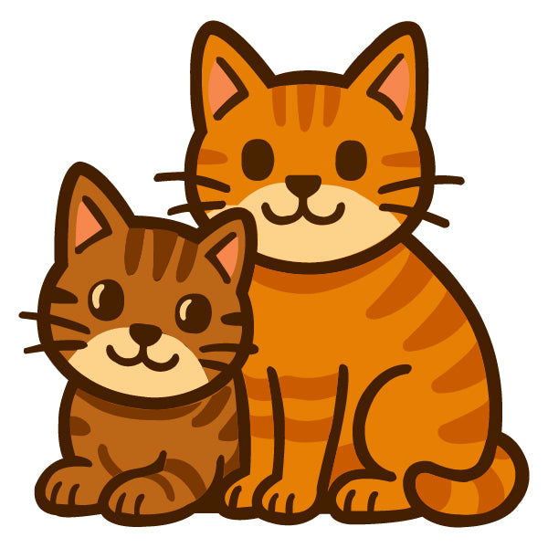 Shop Petprovo today and discover a world of deliciousness and fun for your furry friend!