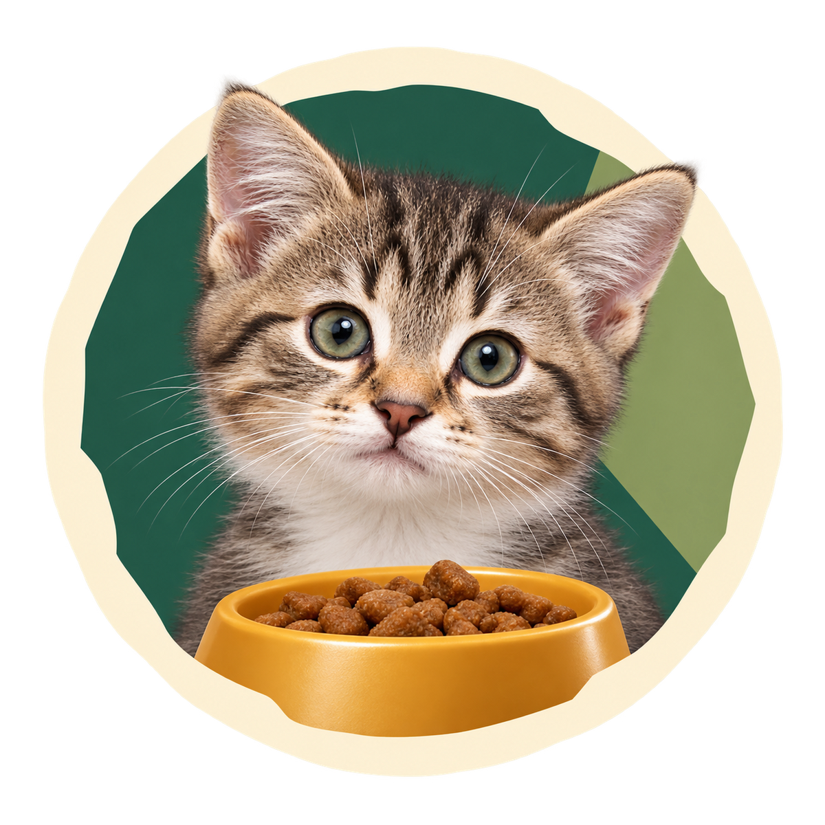 Cat/Kitten Food