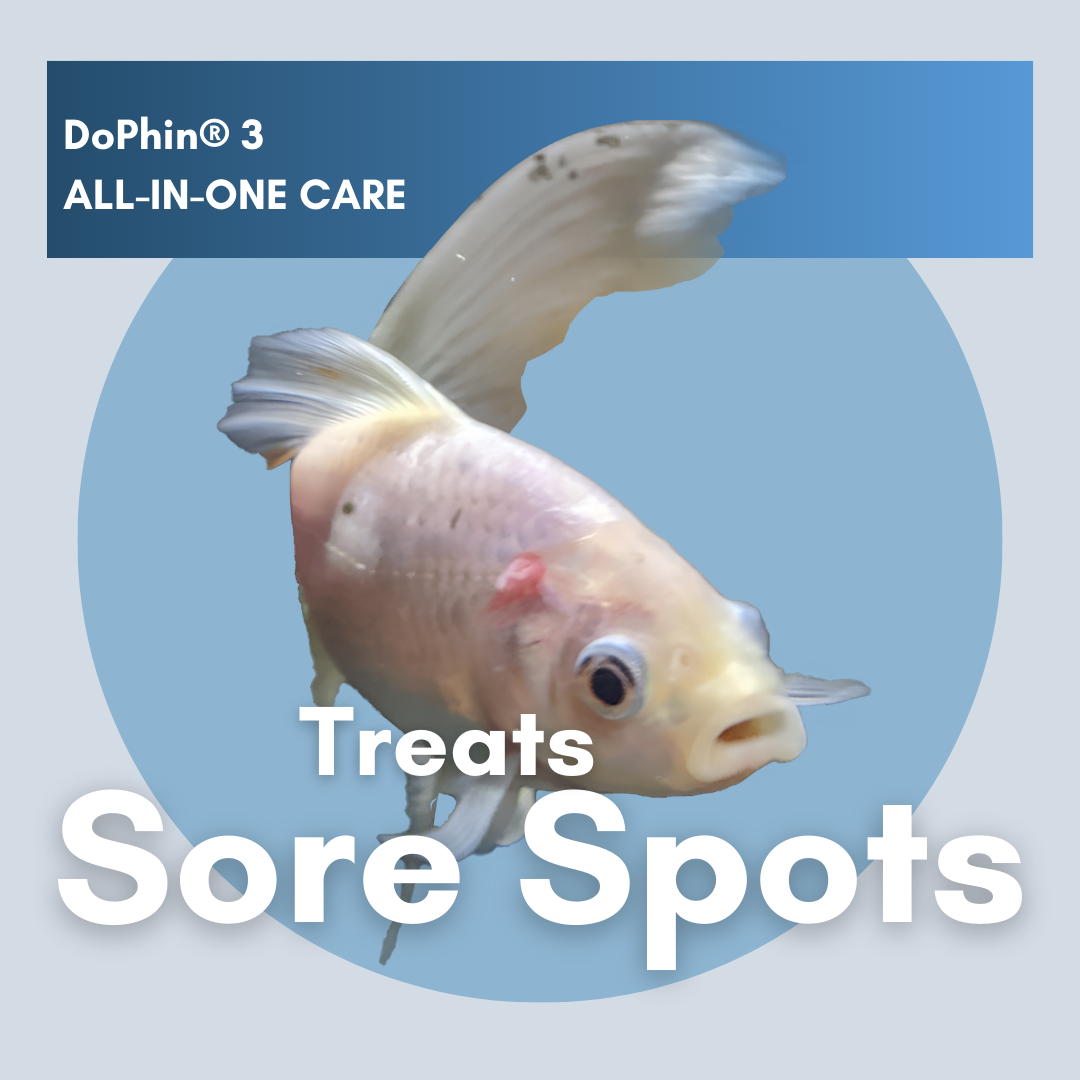DoPhin® #3 Aquarium All-in-One Care: Treat Multiple Fish Diseases Instantly 200ml - PetProvo - COPYRIGHT RESERVED - Images by BEFOUNDSTUDIO.co.za