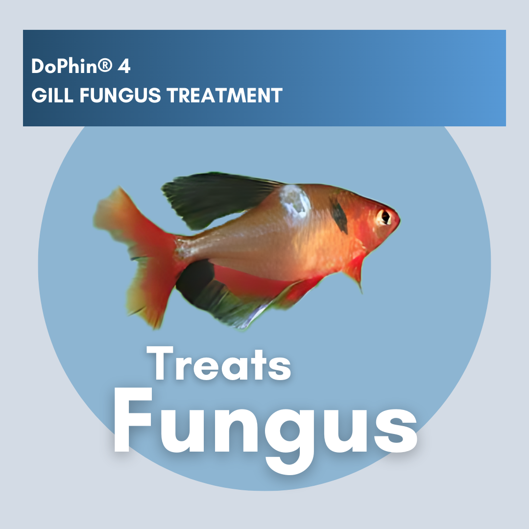 DoPhin® #4 Aquarium Gill Fungus Treatment - Safe & Effective 200ml - PetProvo - COPYRIGHT RESERVED - Images by BEFOUNDSTUDIO.co.za