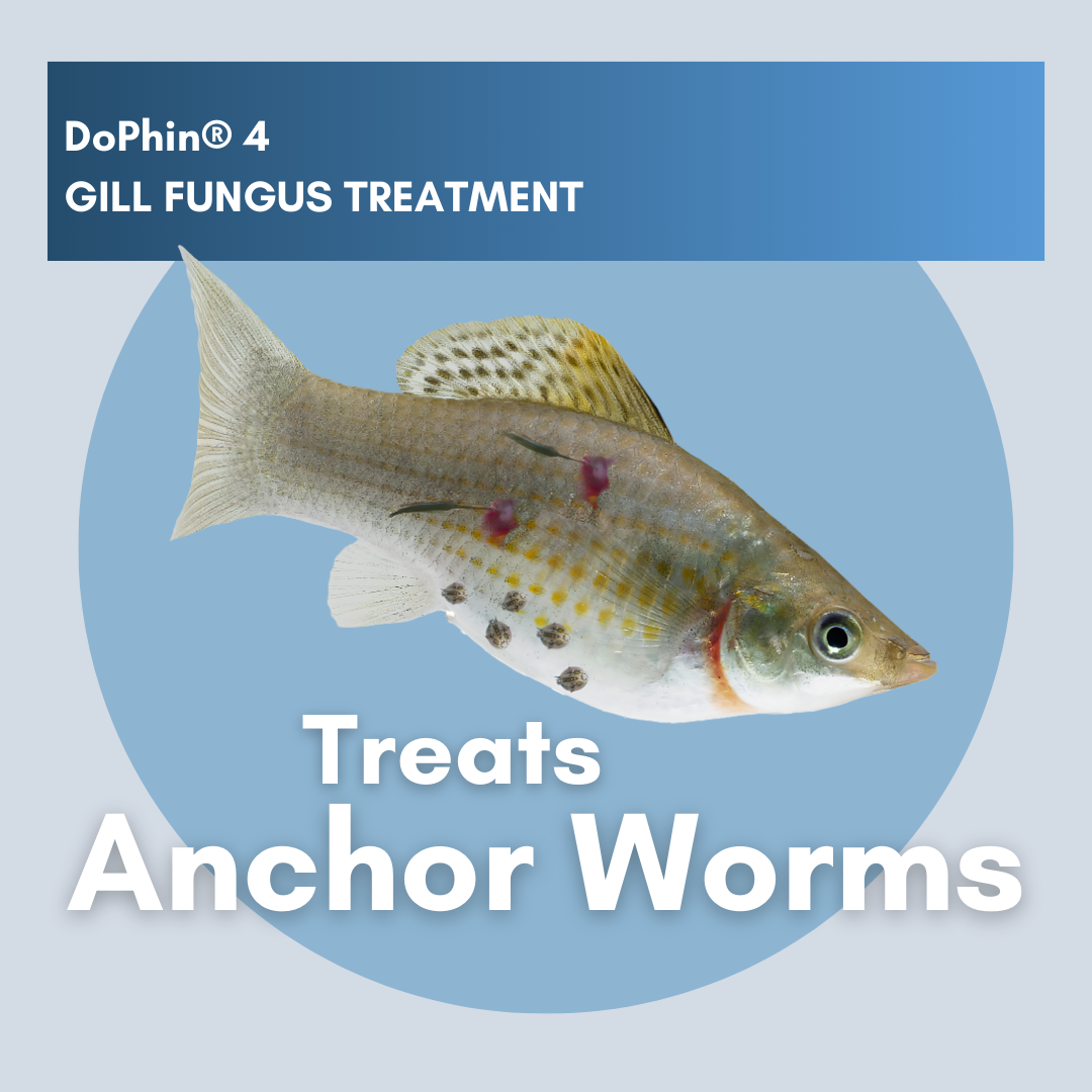 DoPhin® #4 Aquarium Gill Fungus Treatment - Safe & Effective 200ml - PetProvo - COPYRIGHT RESERVED - Images by BEFOUNDSTUDIO.co.za