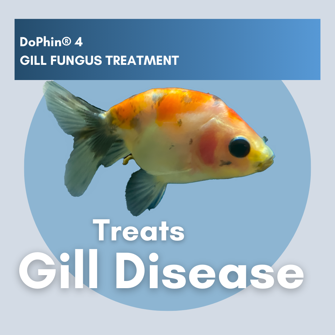 DoPhin® #4 Aquarium Gill Fungus Treatment - Safe & Effective 200ml - PetProvo - COPYRIGHT RESERVED - Images by BEFOUNDSTUDIO.co.za