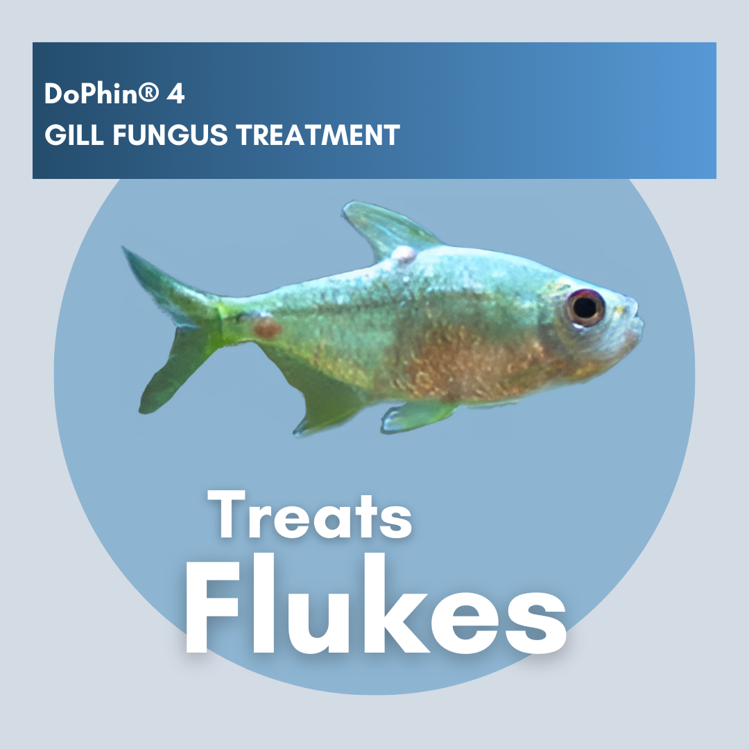 DoPhin® #4 Aquarium Gill Fungus Treatment - Safe & Effective 200ml - PetProvo - COPYRIGHT RESERVED - Images by BEFOUNDSTUDIO.co.za