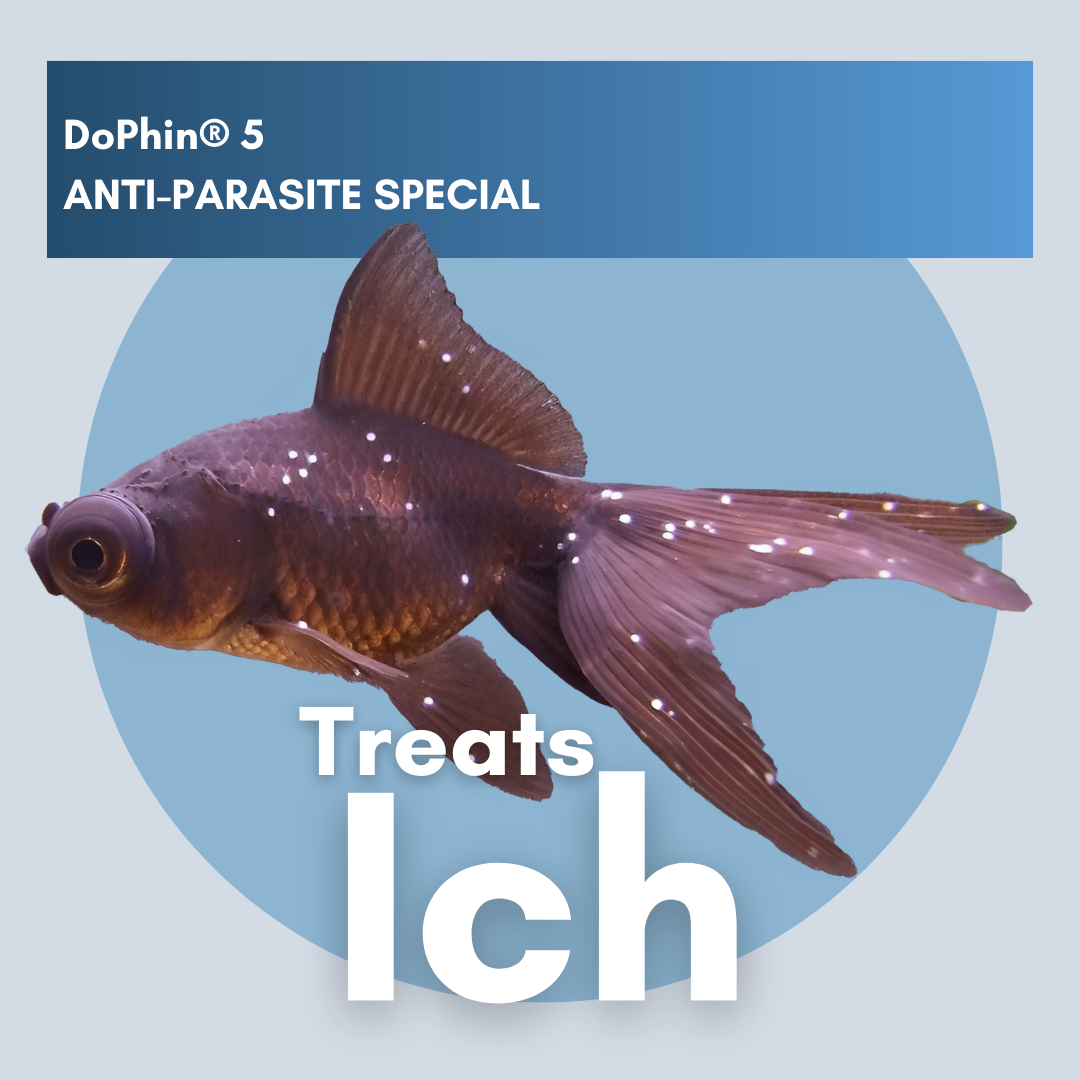 DoPhin® #5 Aquarium Anti-Parasite Treatment - Broad-Spectrum Formula 200ml - PetProvo - COPYRIGHT RESERVED - Images by BEFOUNDSTUDIO.co.za