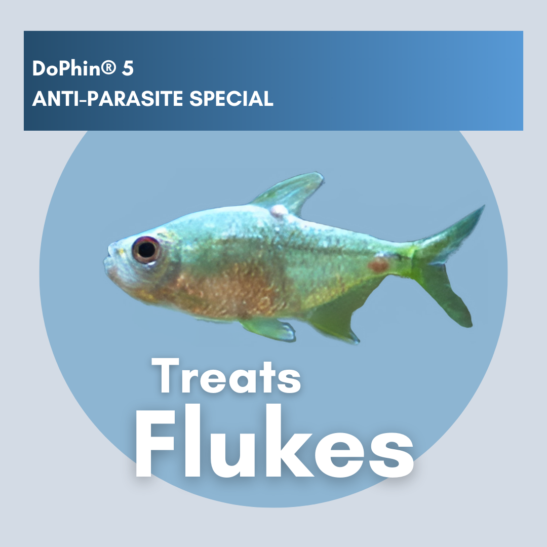 DoPhin® #5 Aquarium Anti-Parasite Treatment - Broad-Spectrum Formula 200ml - PetProvo - COPYRIGHT RESERVED - Images by BEFOUNDSTUDIO.co.za