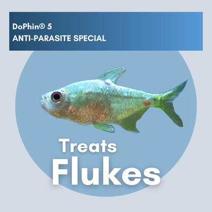 DoPhin® #5 Aquarium Anti-Parasite Treatment - Broad-Spectrum Formula 200ml - PetProvo - COPYRIGHT RESERVED - Images by BEFOUNDSTUDIO.co.za