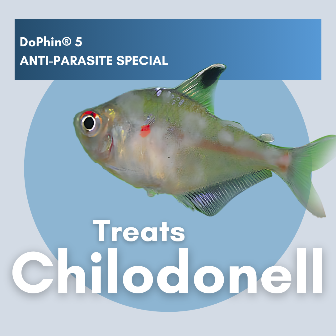 DoPhin® #5 Aquarium Anti-Parasite Treatment - Broad-Spectrum Formula 200ml - PetProvo - COPYRIGHT RESERVED - Images by BEFOUNDSTUDIO.co.za