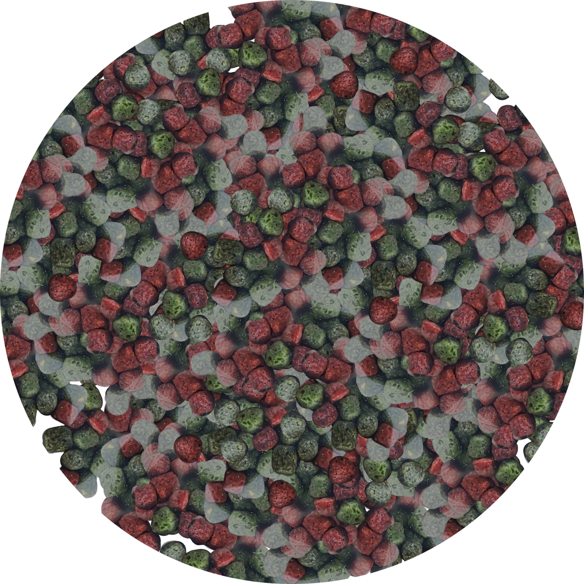 NEEDApet® Nutrition Koi Pellets 1kg - PetProvo - COPYRIGHT RESERVED - Images by BEFOUNDSTUDIO.co.za