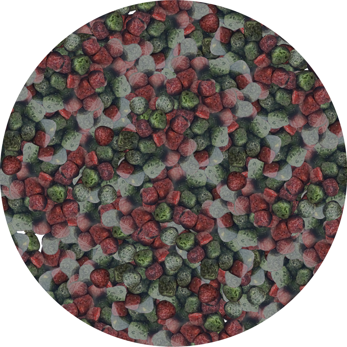 NEEDApet® Nutrition Koi Pellets 1kg - PetProvo - COPYRIGHT RESERVED - Images by BEFOUNDSTUDIO.co.za