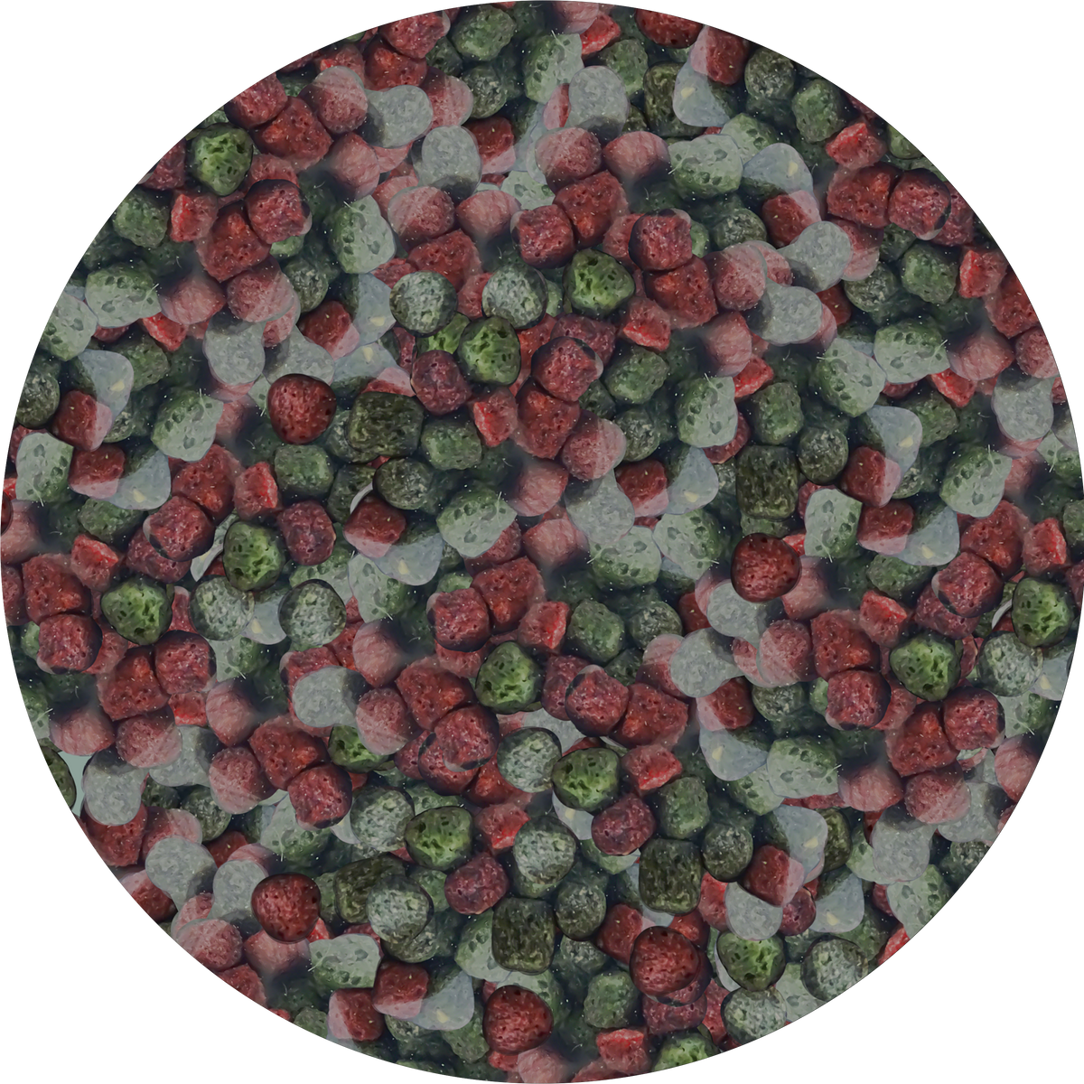 NEEDApet® Nutrition Koi Pellets 1kg - PetProvo - COPYRIGHT RESERVED - Images by BEFOUNDSTUDIO.co.za