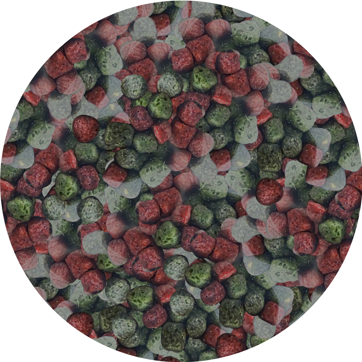 NEEDApet® Nutrition Koi Pellets 1kg - PetProvo - COPYRIGHT RESERVED - Images by BEFOUNDSTUDIO.co.za