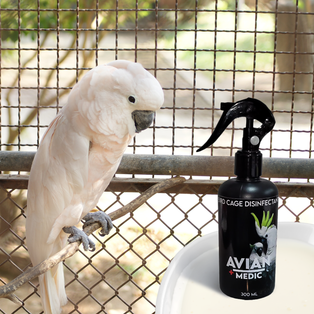 Bird Cage Disinfectant Spray 300ml - PetProvo - COPYRIGHT RESERVED - Images by BEFOUNDSTUDIO.co.za