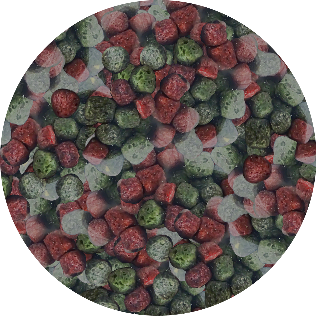 NEEDApet® Nutrition Koi Pellets 1kg - PetProvo - COPYRIGHT RESERVED - Images by BEFOUNDSTUDIO.co.za