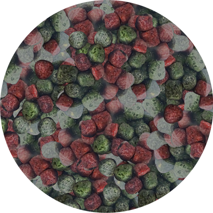 NEEDApet® Nutrition Koi Pellets 1kg - PetProvo - COPYRIGHT RESERVED - Images by BEFOUNDSTUDIO.co.za