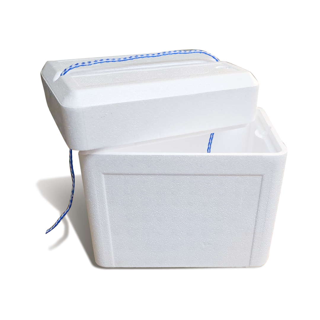 Frozen Mice 10 Pack