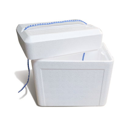 Frozen Mice 10 Pack