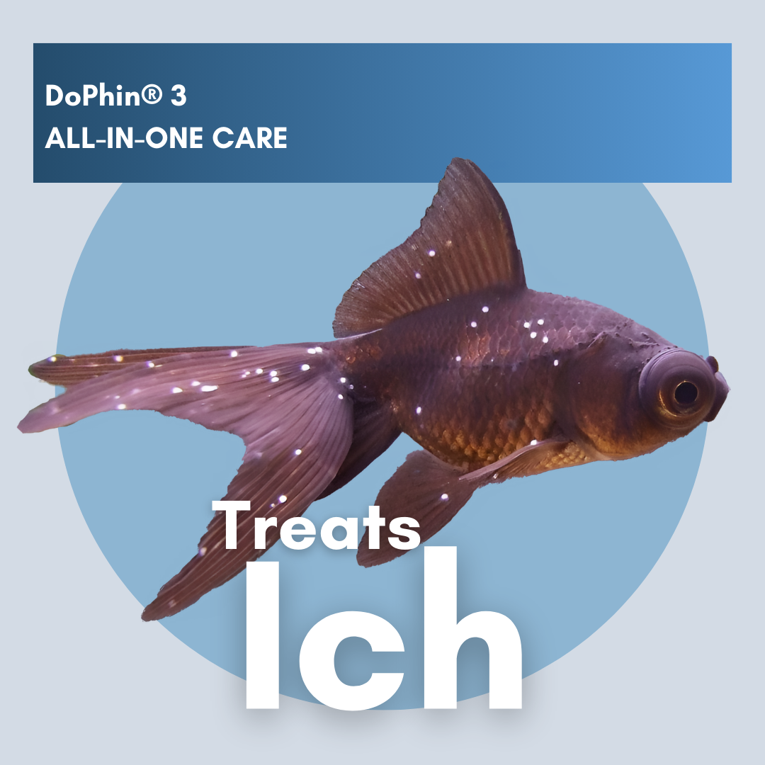 DoPhin® #3 Aquarium All-in-One Care: Treat Multiple Fish Diseases Instantly 200ml - PetProvo - COPYRIGHT RESERVED - Images by BEFOUNDSTUDIO.co.za