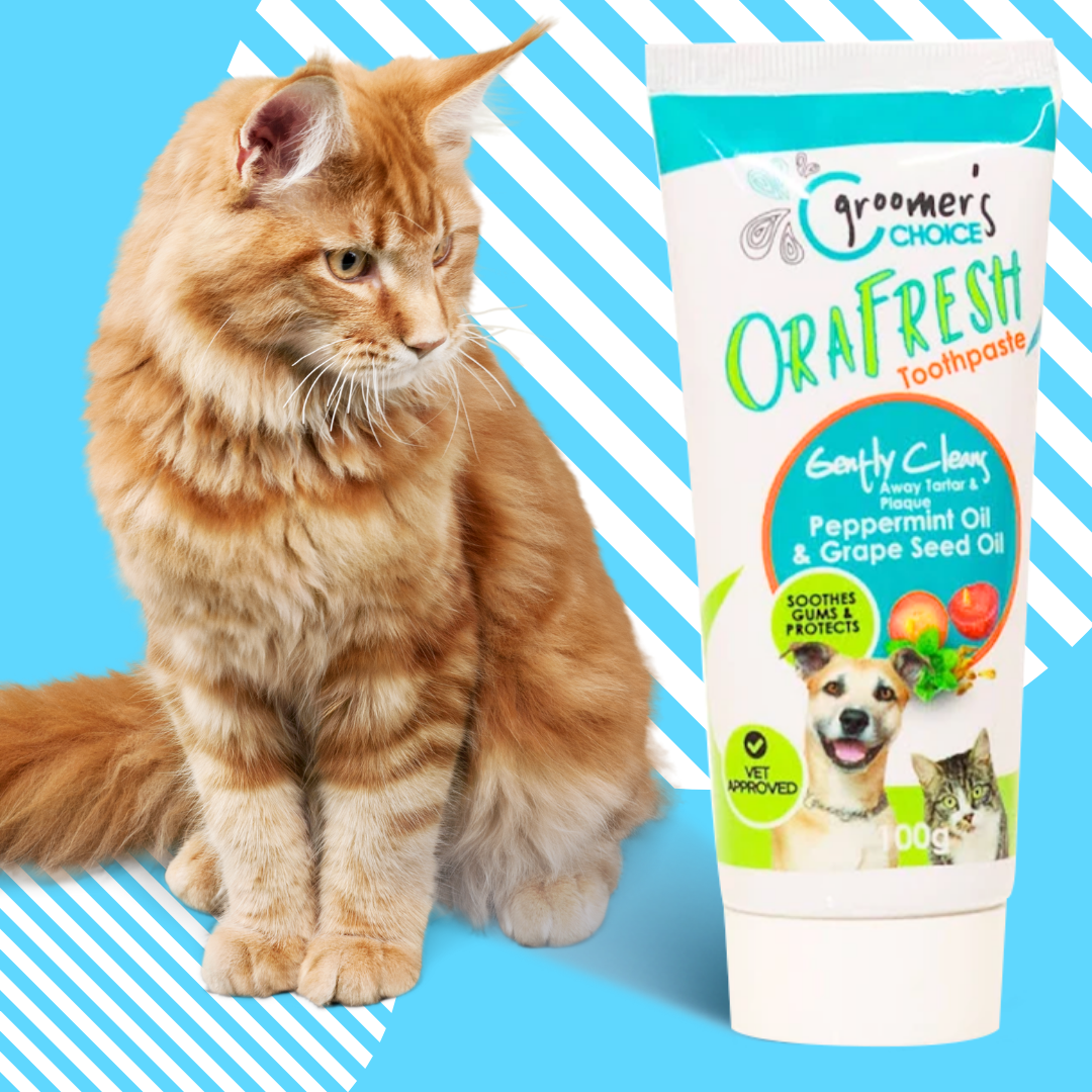 Groomer's Choice Pet Toothpaste 100g