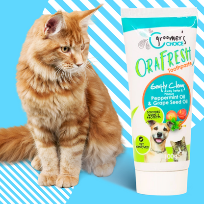 Groomer's Choice Pet Toothpaste 100g