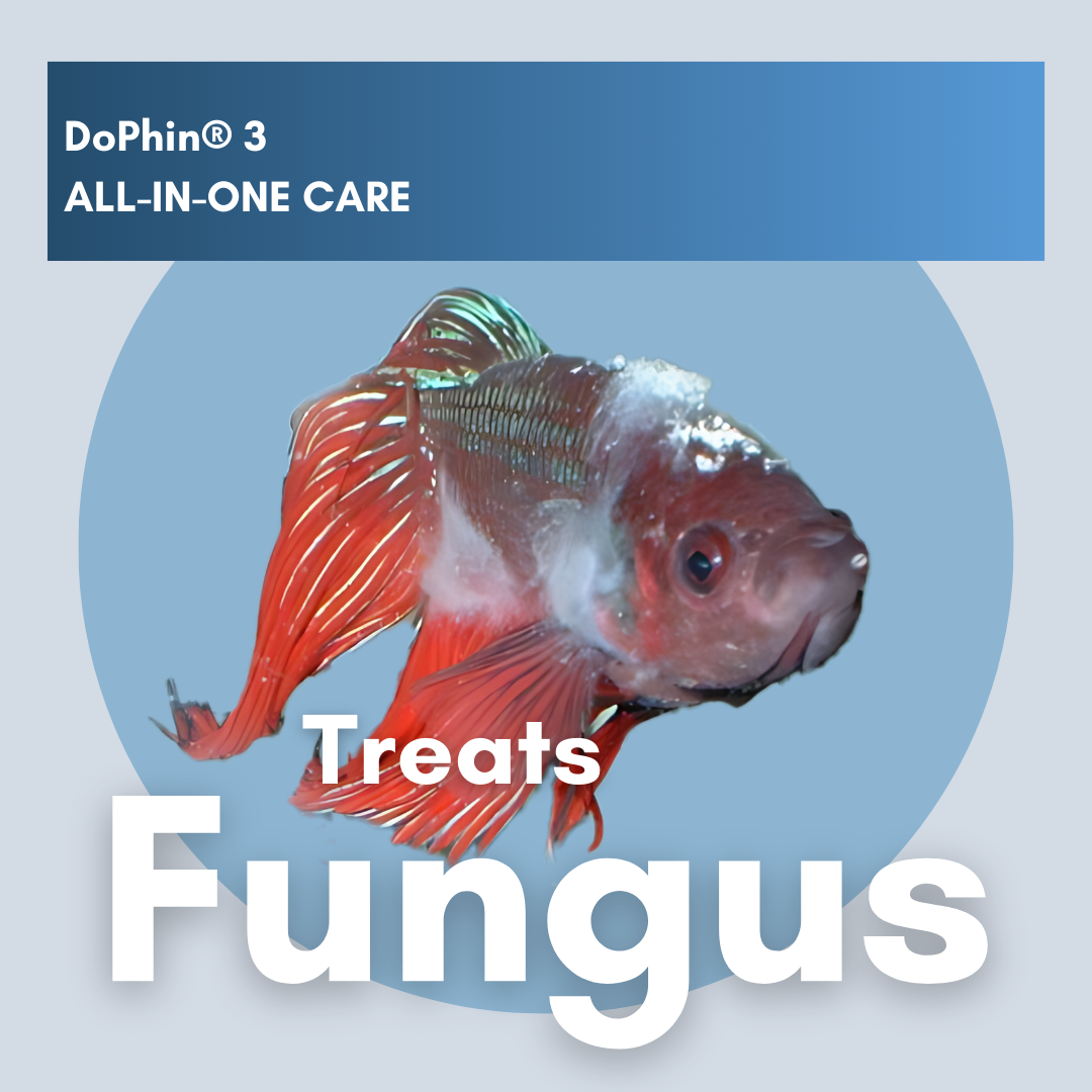 DoPhin® #3 Aquarium All-in-One Care: Treat Multiple Fish Diseases Instantly 200ml - PetProvo - COPYRIGHT RESERVED - Images by BEFOUNDSTUDIO.co.za