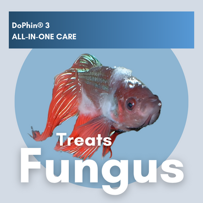DoPhin® #3 Aquarium All-in-One Care: Treat Multiple Fish Diseases Instantly 200ml - PetProvo - COPYRIGHT RESERVED - Images by BEFOUNDSTUDIO.co.za