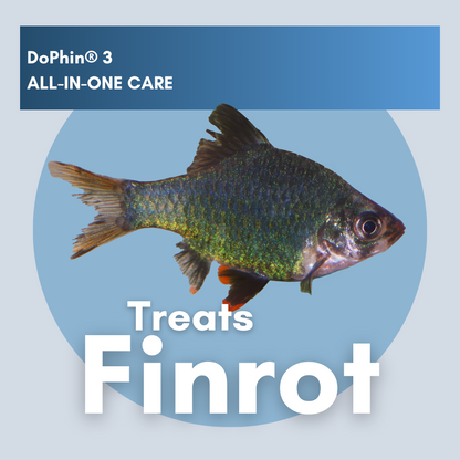 DoPhin® #3 Aquarium All-in-One Care: Treat Multiple Fish Diseases Instantly 200ml - PetProvo - COPYRIGHT RESERVED - Images by BEFOUNDSTUDIO.co.za