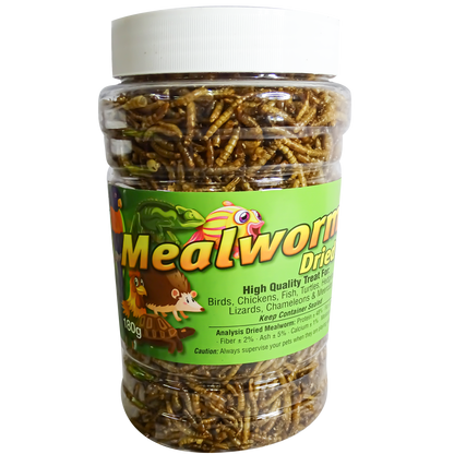 Freeze Dried Mealworms - PetProvo - COPYRIGHT RESERVED - Images by BEFOUNDSTUDIO.co.za