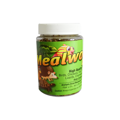 Freeze Dried Mealworms - PetProvo - COPYRIGHT RESERVED - Images by BEFOUNDSTUDIO.co.za