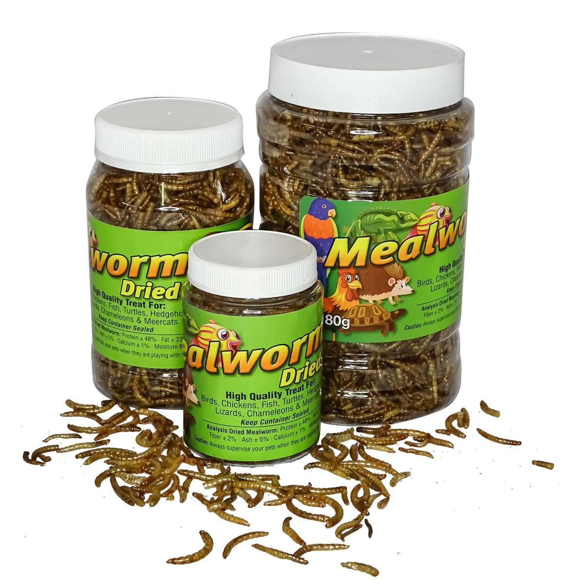 Freeze Dried Mealworms - PetProvo - COPYRIGHT RESERVED - Images by BEFOUNDSTUDIO.co.za