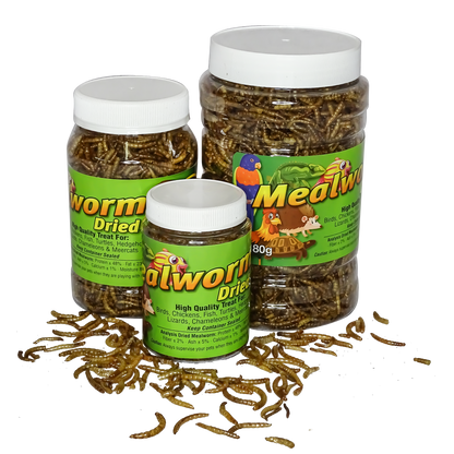 Freeze Dried Mealworms - PetProvo - COPYRIGHT RESERVED - Images by BEFOUNDSTUDIO.co.za