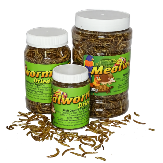 Freeze Dried Mealworms - PetProvo - COPYRIGHT RESERVED - Images by BEFOUNDSTUDIO.co.za