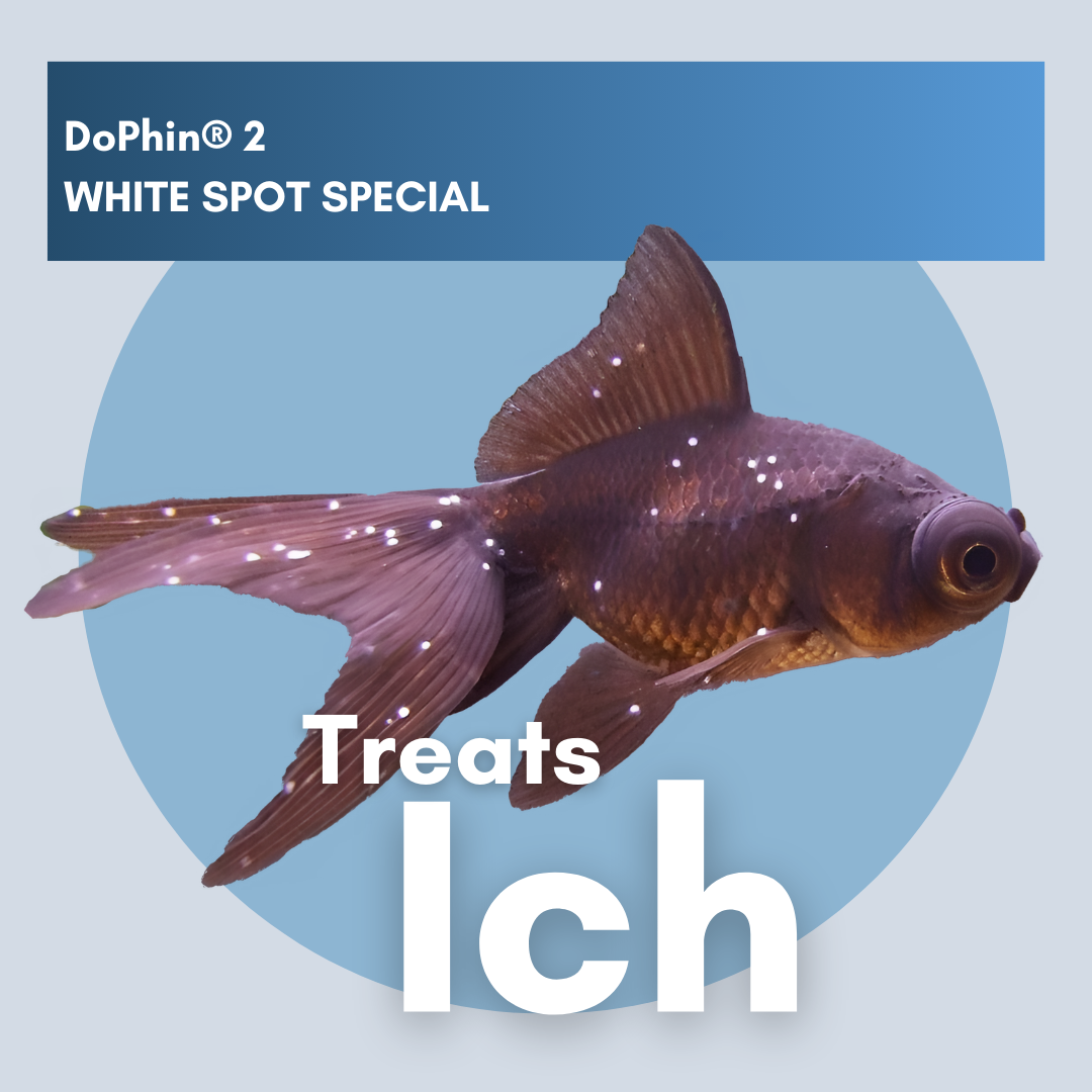 DoPhin® #2 White Spot Treatment: Fast & Effective Relief for Freshwater Fish 200ml - PetProvo - COPYRIGHT RESERVED - Images by BEFOUNDSTUDIO.co.za