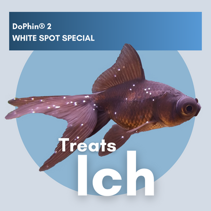 DoPhin® #2 White Spot Treatment: Fast & Effective Relief for Freshwater Fish 200ml - PetProvo - COPYRIGHT RESERVED - Images by BEFOUNDSTUDIO.co.za