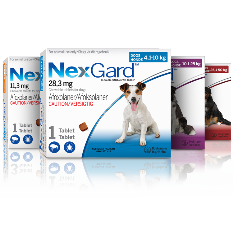 NexGard Chewables for Dogs | Monthly Flea & Tick Treatment