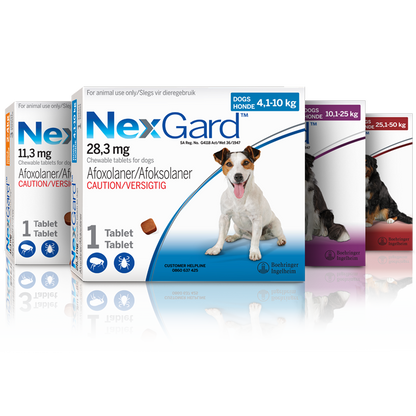 NexGard Chewables for Dogs | Monthly Flea & Tick Treatment