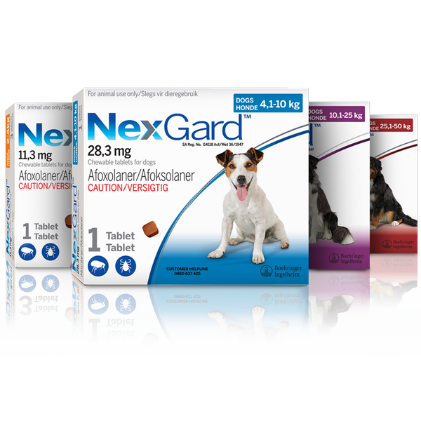NexGard Chewables for Dogs | Monthly Flea & Tick Treatment