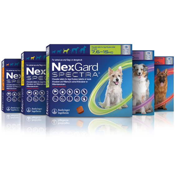 NexGard Spectra Chewies for Dogs | Monthly Flea, Tick, & Worm Treatment