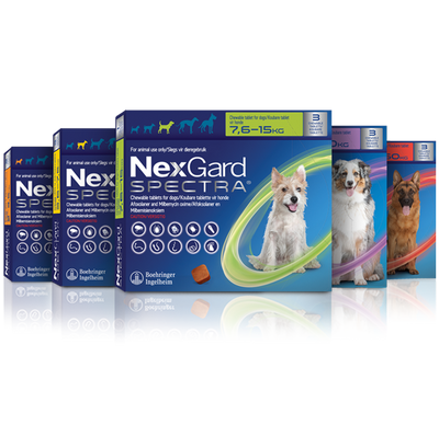 NexGard Spectra Chewies for Dogs | Monthly Flea, Tick, & Worm Treatment