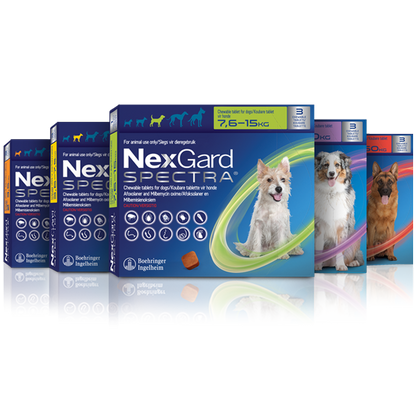 NexGard Spectra Chewies for Dogs | Monthly Flea, Tick, & Worm Treatment