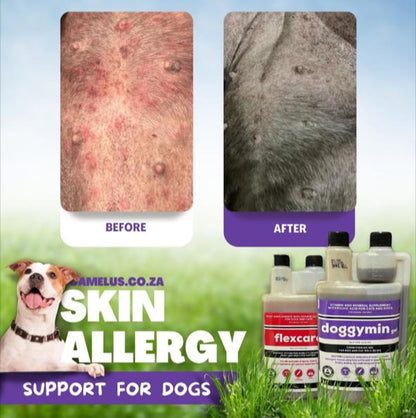 Doggymin Natural Vitamin & Mineral Supplement