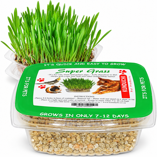 Kunduchi Super Grass kit with its green-labelled seed tray and an example of established grass on white; supplied as a growing kit.