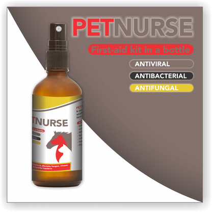 Petnurse for All Animals