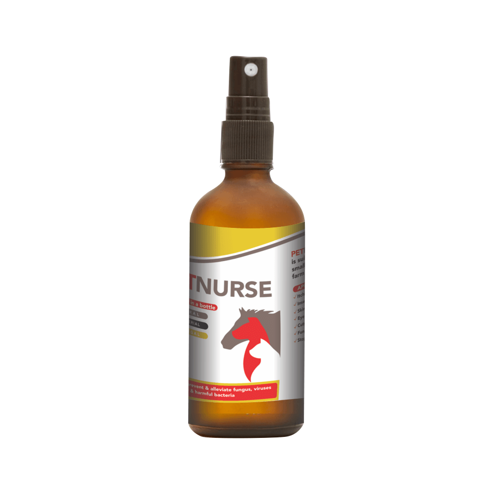 Petnurse for All Animals