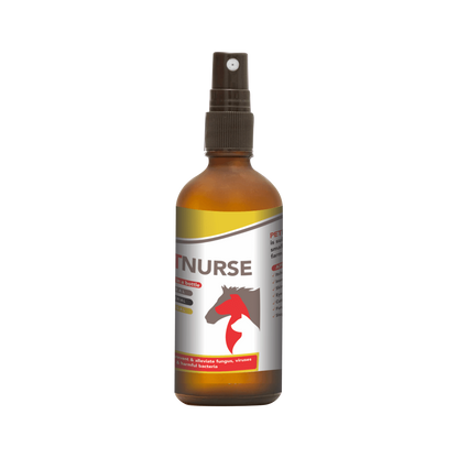 Petnurse for All Animals