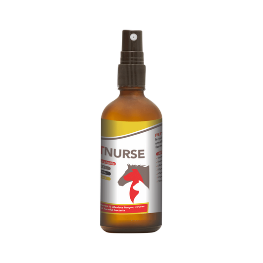 Petnurse for All Animals
